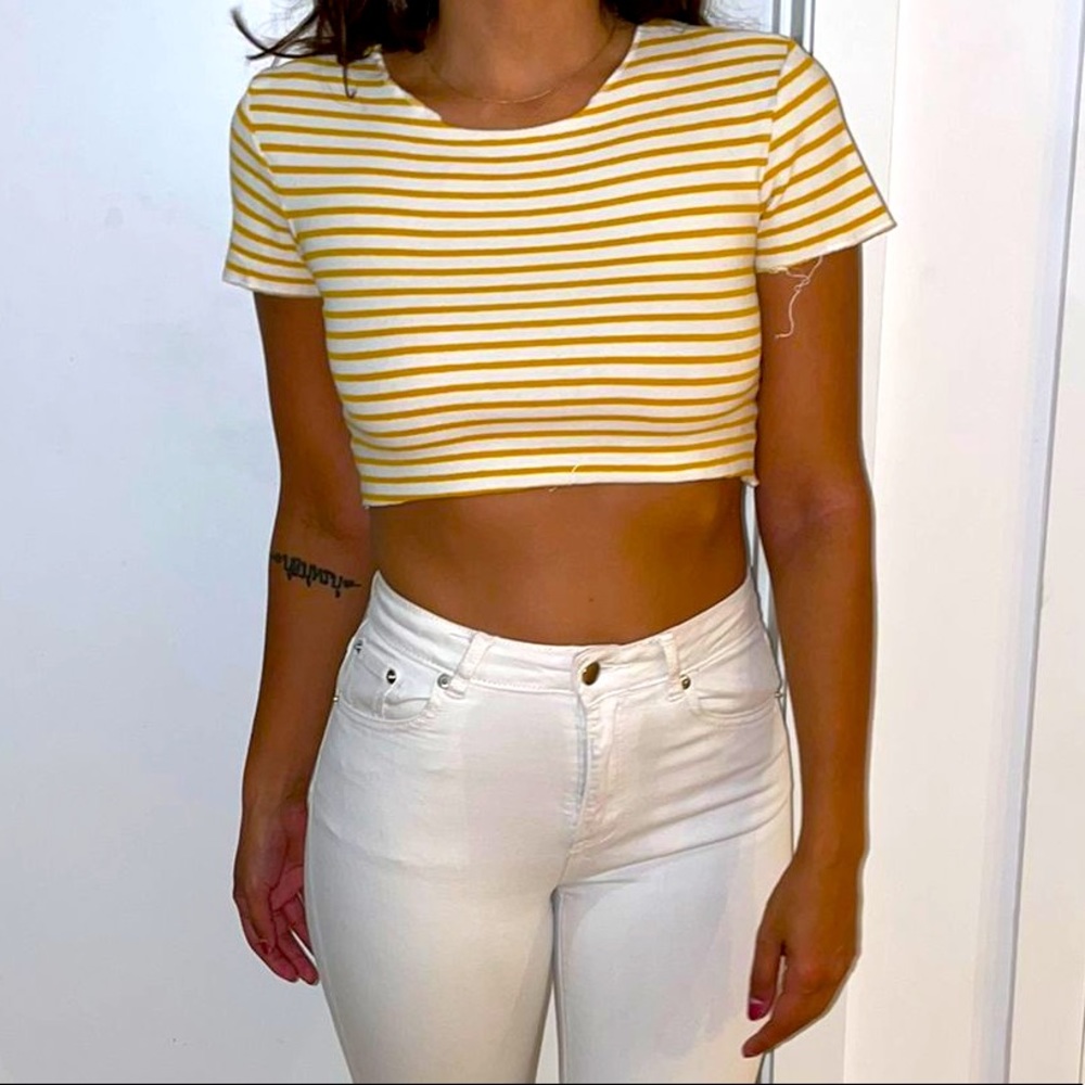 Striped Zara Crop Top